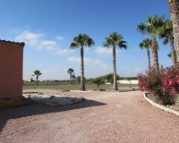 Revente - Finca - Dolores - Comunidad Valenciana