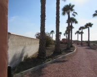 Revente - Finca - Dolores - Comunidad Valenciana