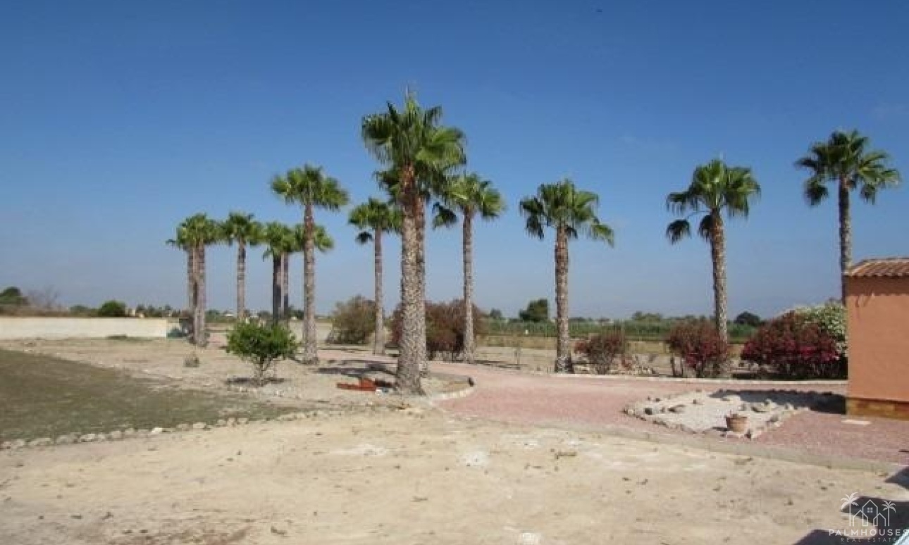 Revente - Finca - Dolores - Comunidad Valenciana