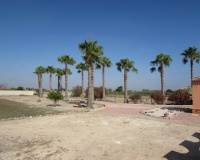 Revente - Finca - Dolores - Comunidad Valenciana