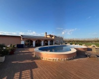 Revente - Finca - Dolores - Comunidad Valenciana