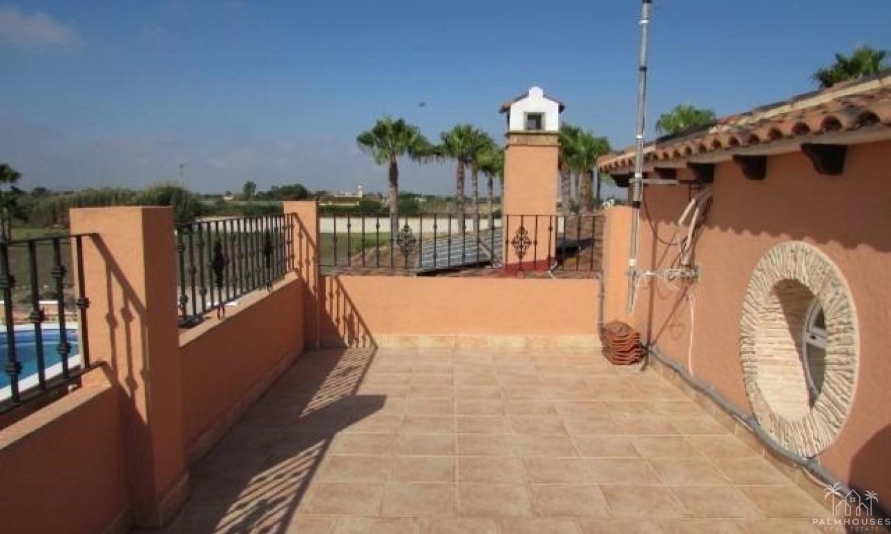 Revente - Finca - Dolores - Comunidad Valenciana