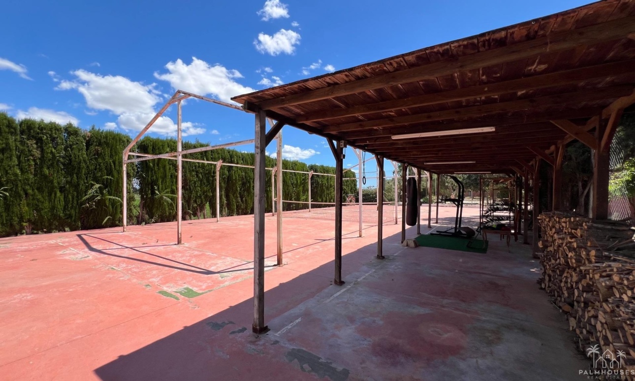 Revente - Finca - Dolores - Comunidad Valenciana