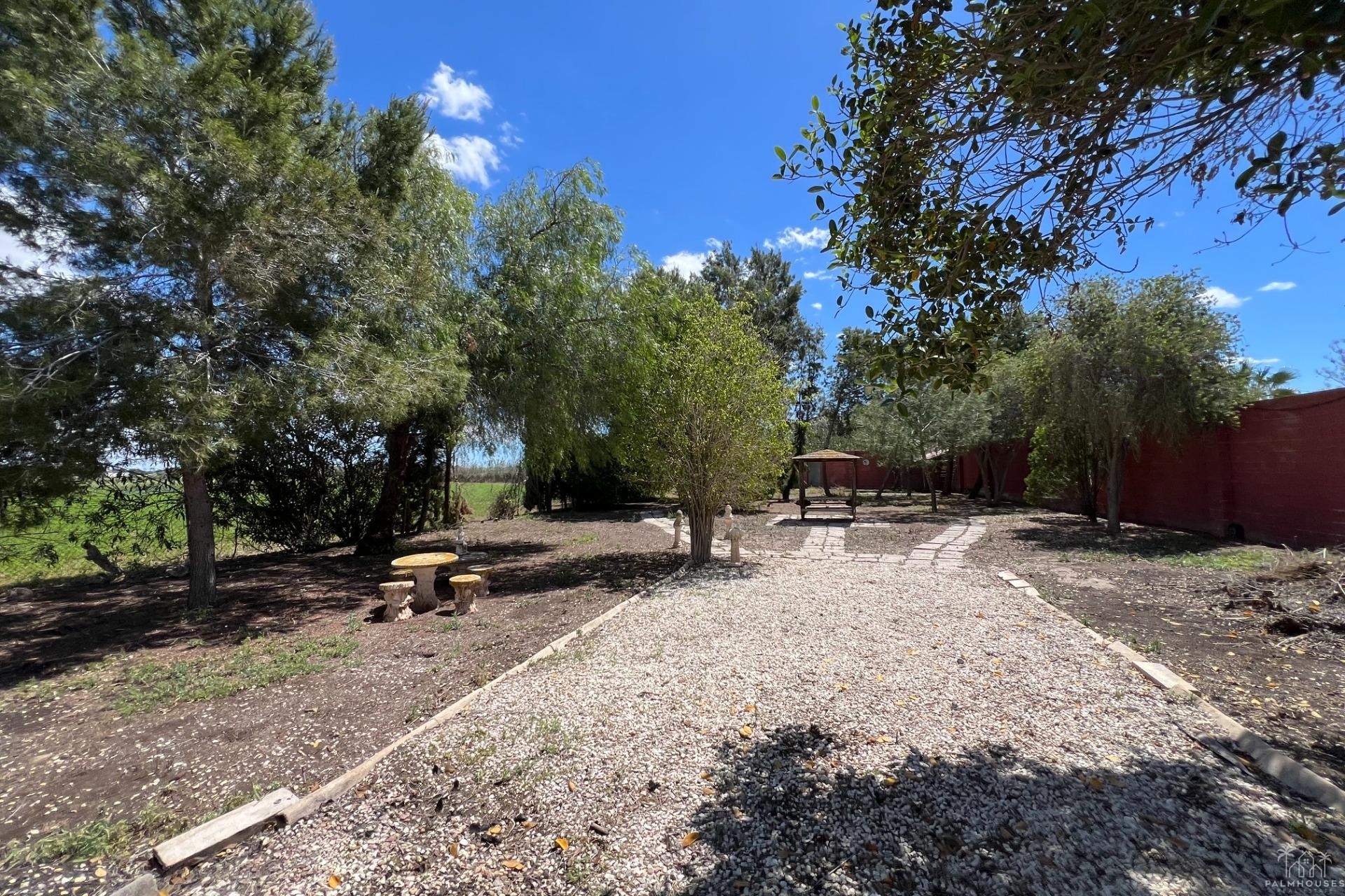 Revente - Finca - Dolores - Comunidad Valenciana
