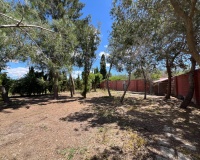 Revente - Finca - Dolores - Comunidad Valenciana
