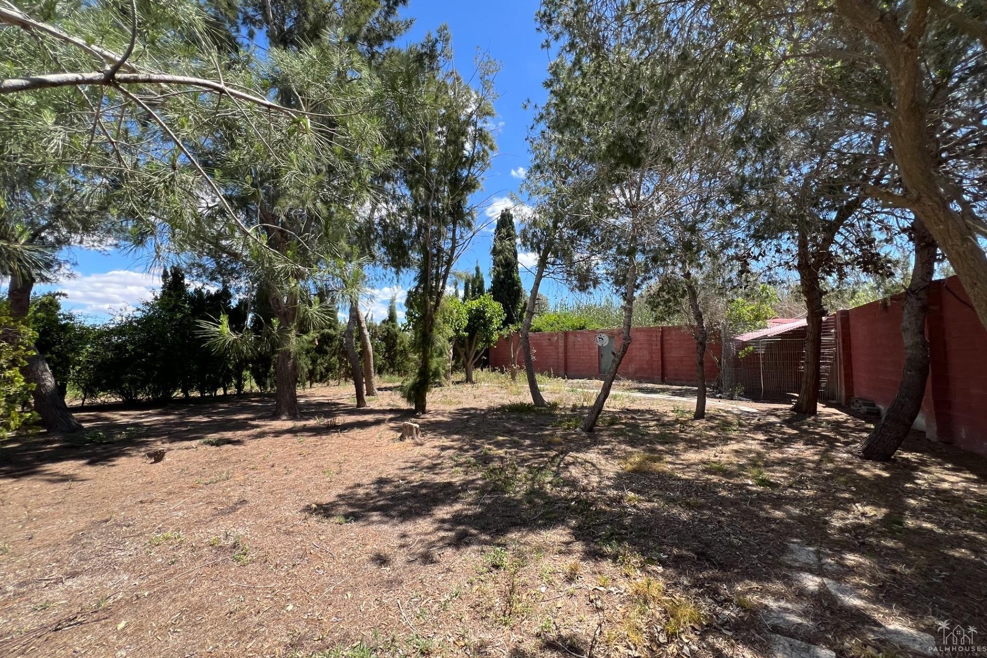 Revente - Finca - Dolores - Comunidad Valenciana