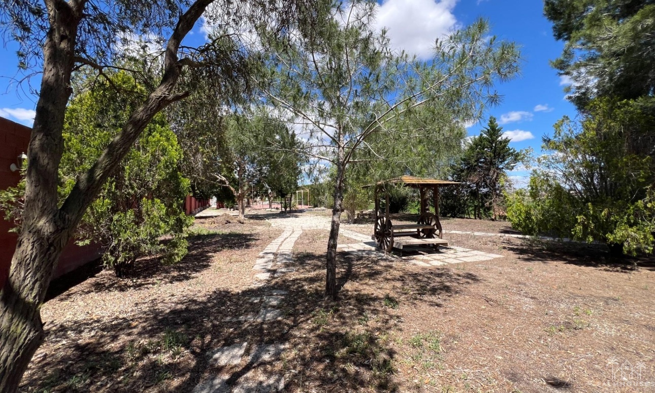 Revente - Finca - Dolores - Comunidad Valenciana
