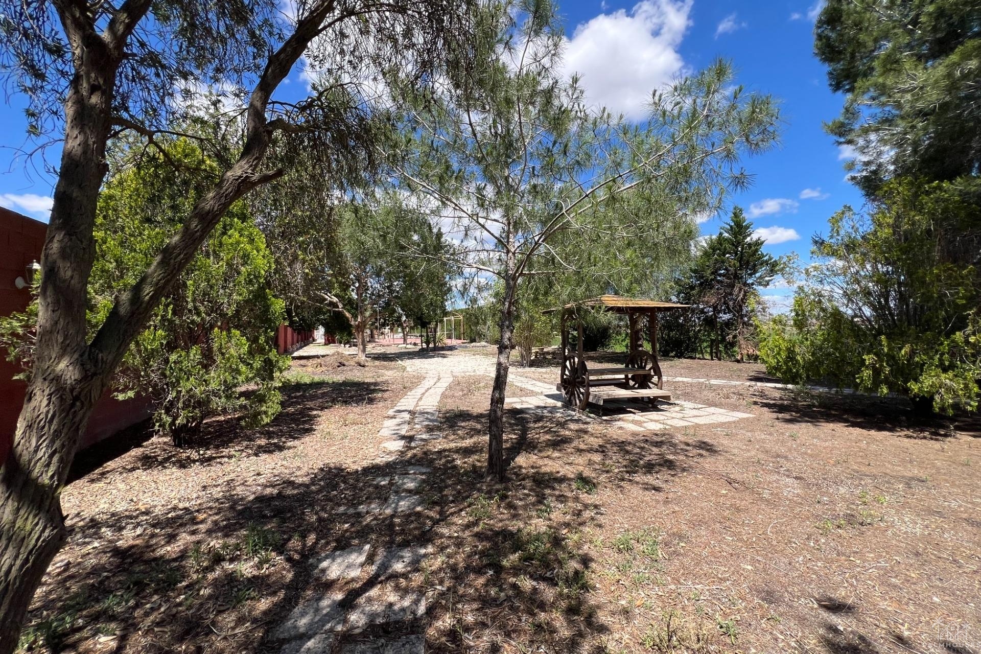 Revente - Finca - Dolores - Comunidad Valenciana
