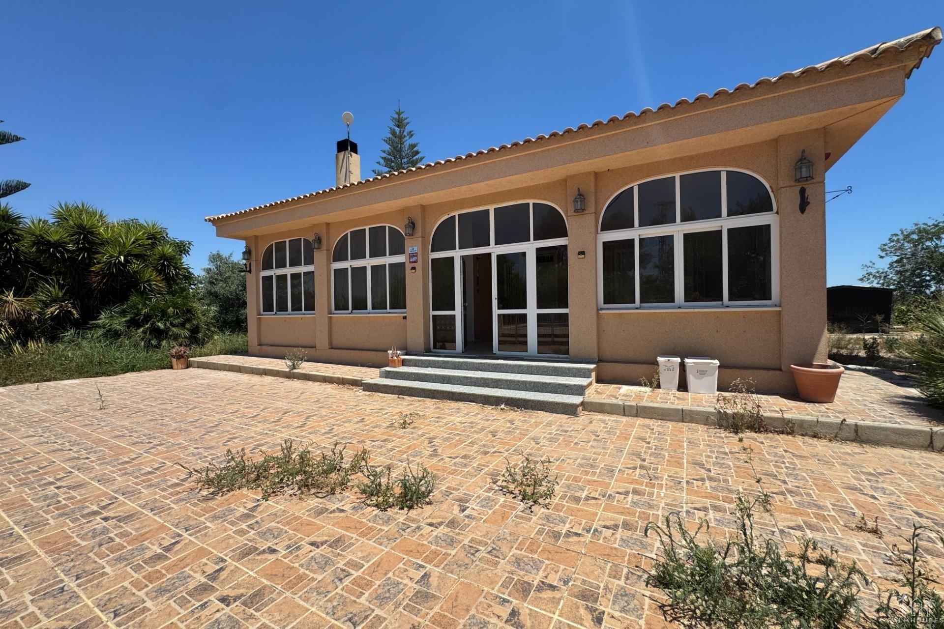 Revente - Finca - Dolores - Comunidad Valenciana