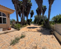 Revente - Finca - Dolores - Comunidad Valenciana