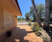 Revente - Finca - Dolores - Comunidad Valenciana