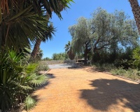 Revente - Finca - Dolores - Comunidad Valenciana