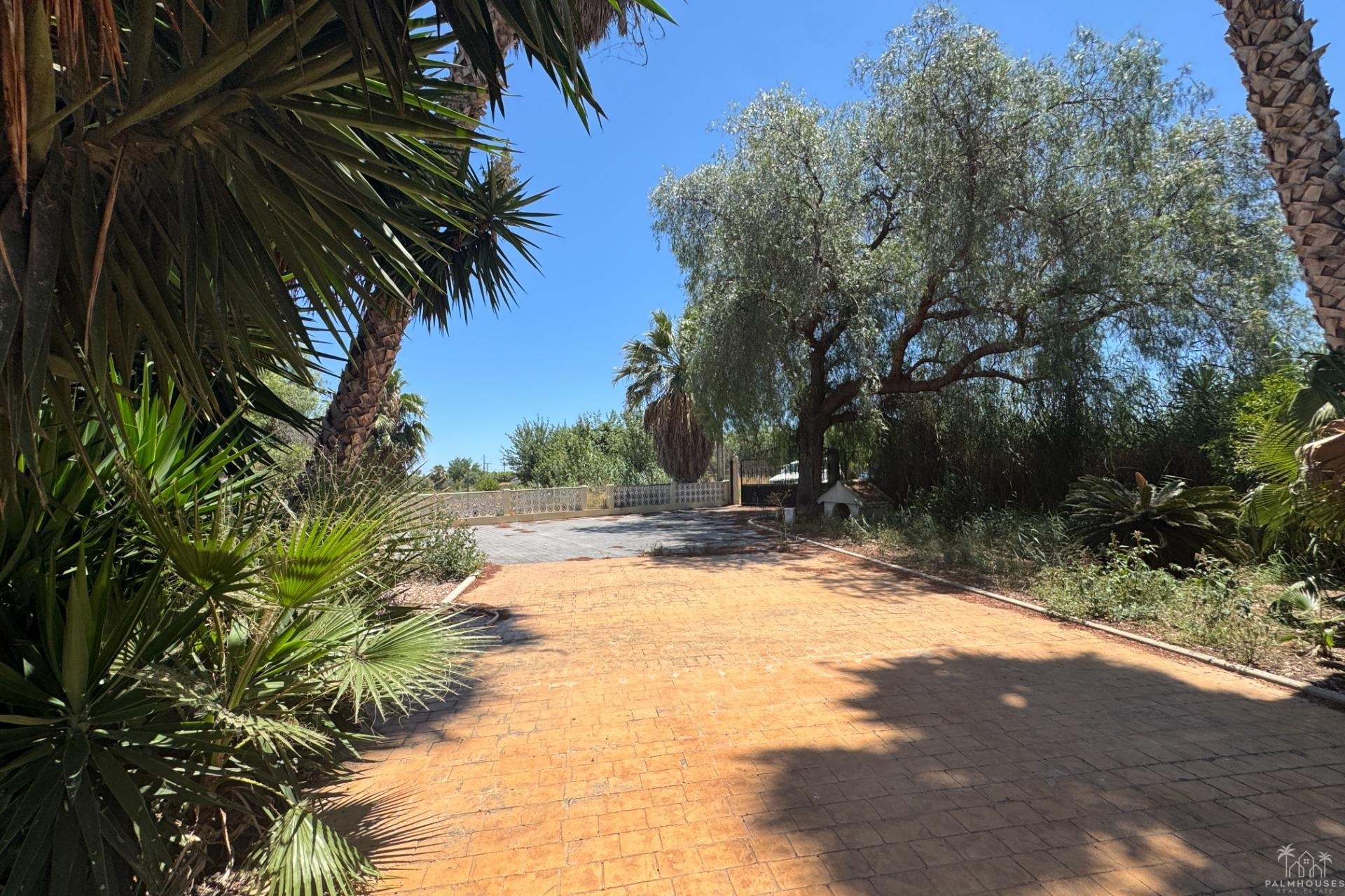 Revente - Finca - Dolores - Comunidad Valenciana