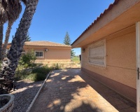 Revente - Finca - Dolores - Comunidad Valenciana