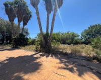 Revente - Finca - Dolores - Comunidad Valenciana