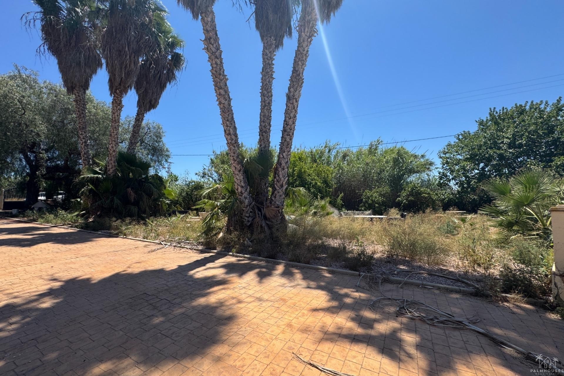 Revente - Finca - Dolores - Comunidad Valenciana