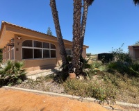 Revente - Finca - Dolores - Comunidad Valenciana