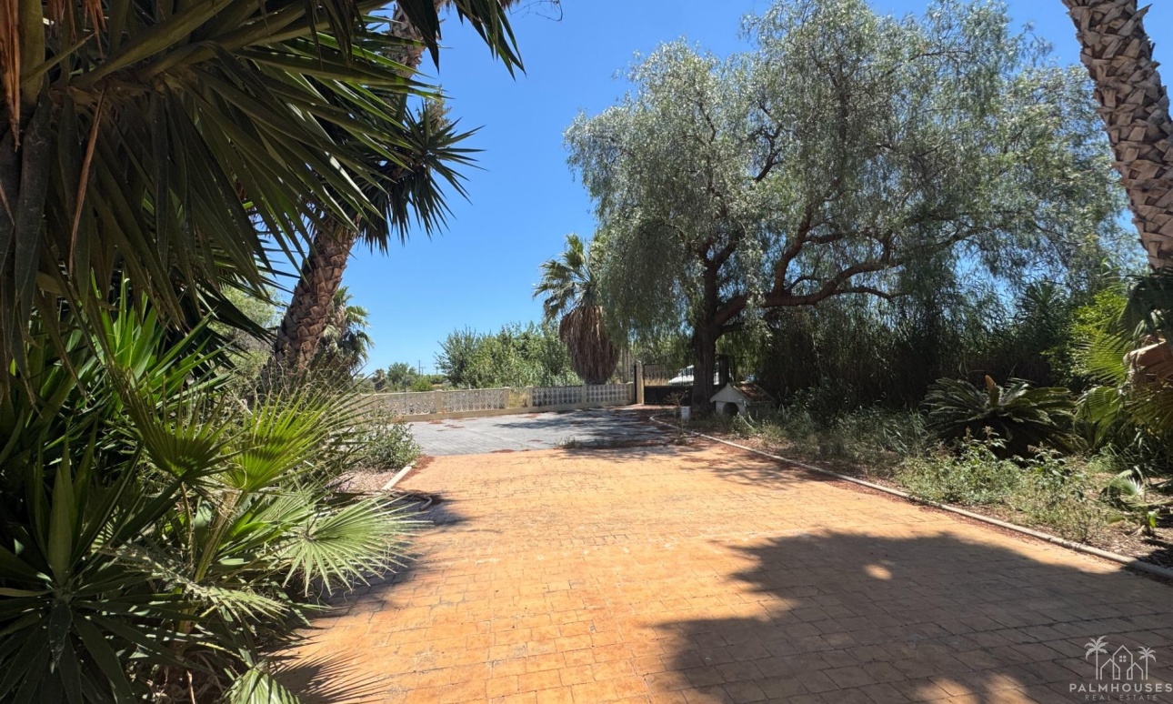 Revente - Finca - Dolores - Comunidad Valenciana