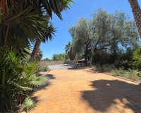 Revente - Finca - Dolores - Comunidad Valenciana