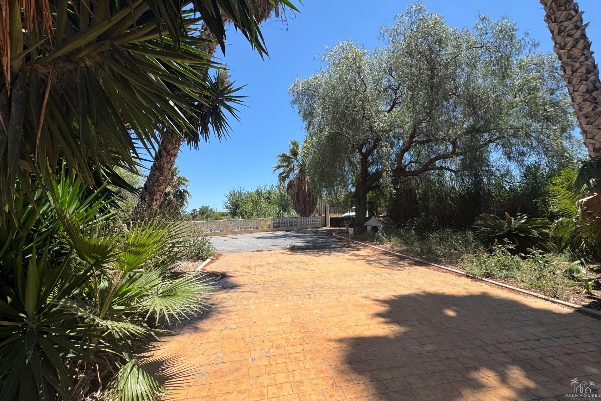 Revente - Finca - Dolores - Comunidad Valenciana