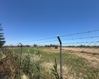 Revente - Finca - Dolores - Comunidad Valenciana