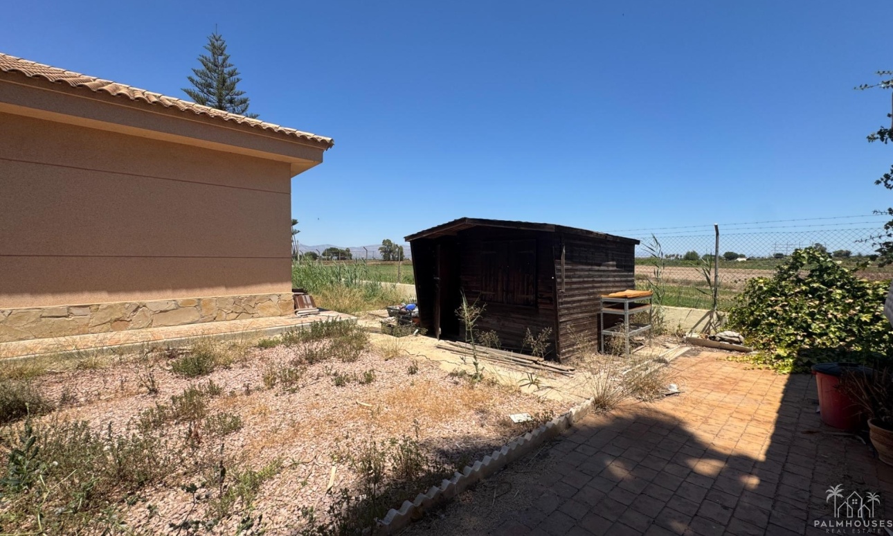 Revente - Finca - Dolores - Comunidad Valenciana