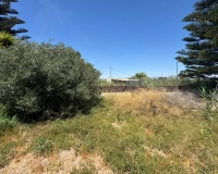 Revente - Finca - Dolores - Comunidad Valenciana