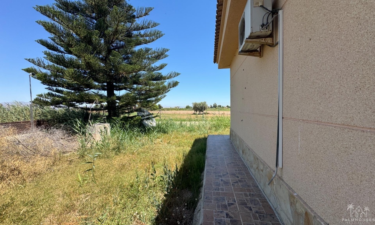 Revente - Finca - Dolores - Comunidad Valenciana