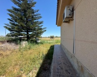 Revente - Finca - Dolores - Comunidad Valenciana