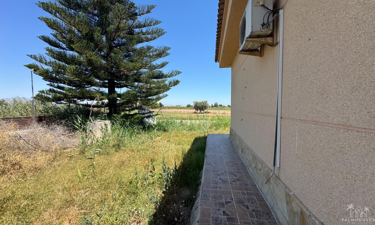 Revente - Finca - Dolores - Comunidad Valenciana