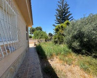 Revente - Finca - Dolores - Comunidad Valenciana