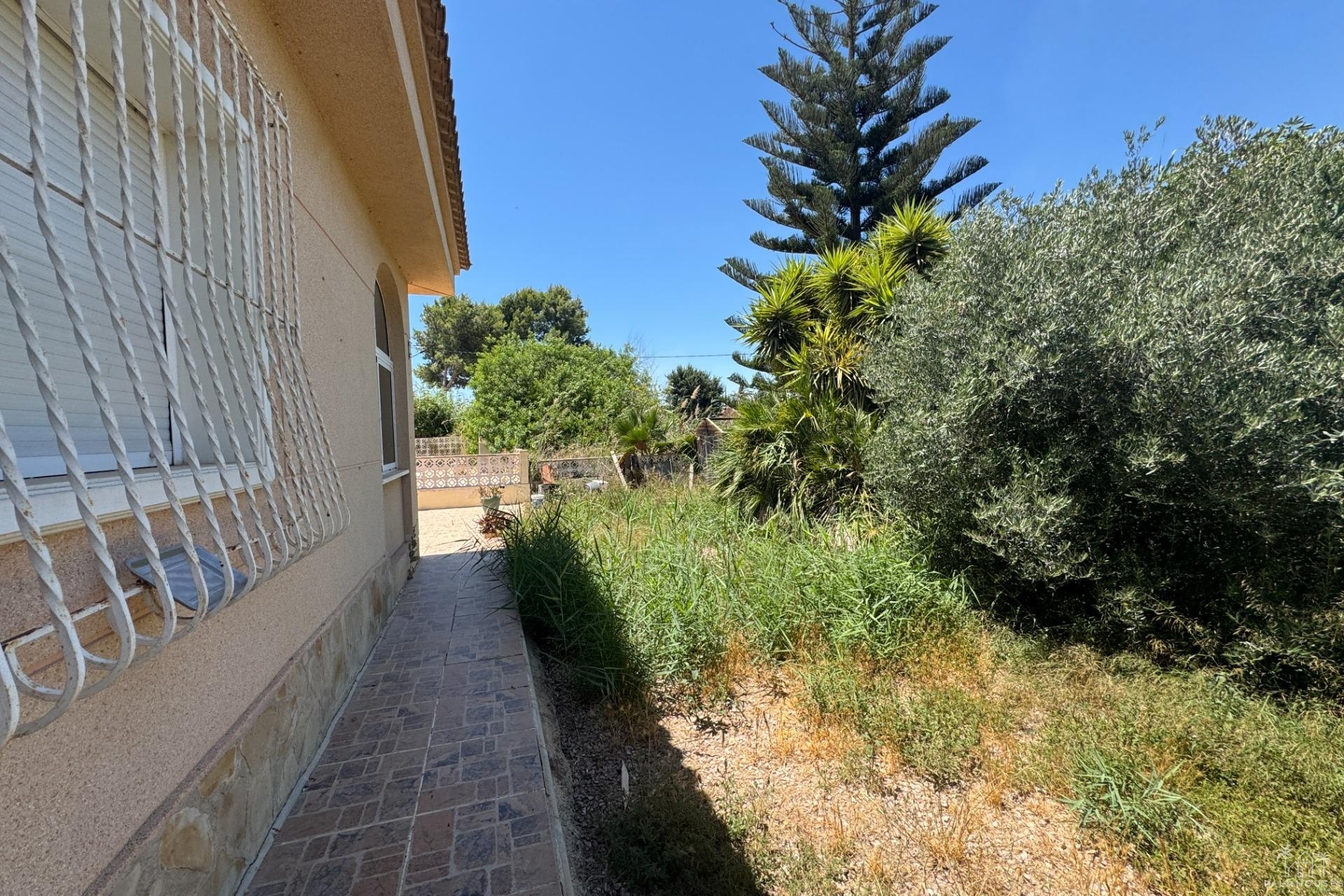 Revente - Finca - Dolores - Comunidad Valenciana