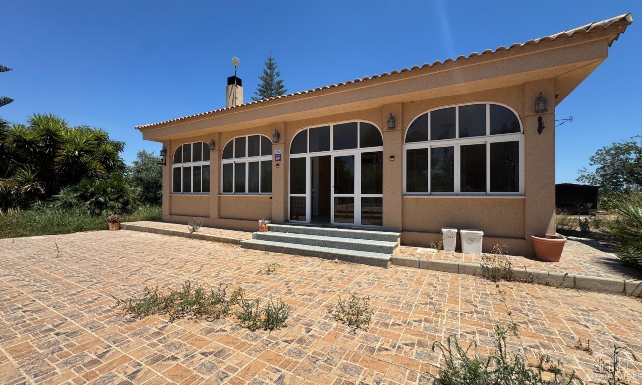 Revente - Finca - Dolores - Comunidad Valenciana