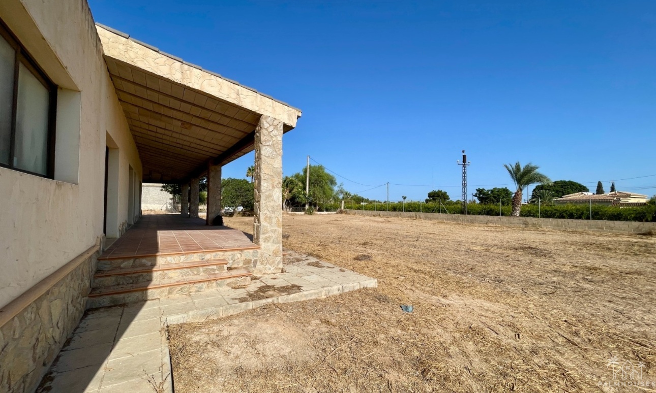 Revente - Finca - Elche - Matola
