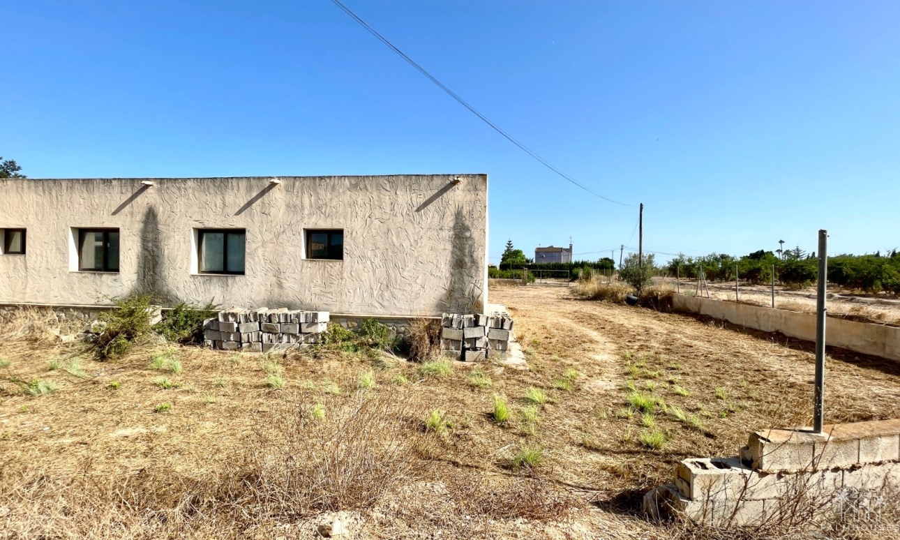 Revente - Finca - Elche - Matola