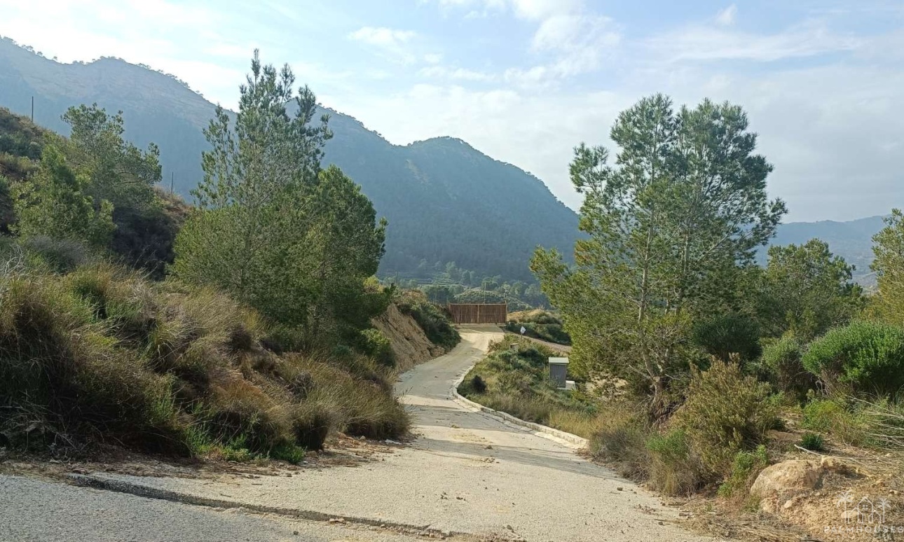 Revente - Finca - Gea Y Truyols - Inland