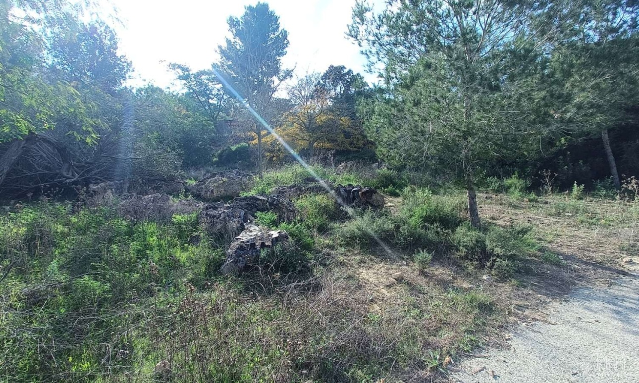 Revente - Finca - Gea Y Truyols - Inland