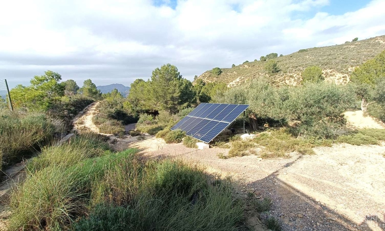 Revente - Finca - Gea Y Truyols - Inland