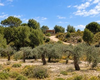 Revente - Finca - Gea Y Truyols - Inland