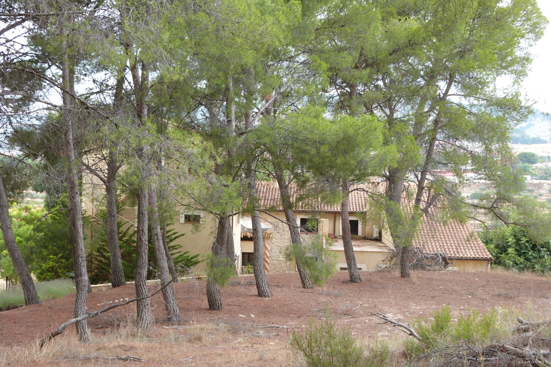 Revente - Finca - Ibi - Ibi - Country