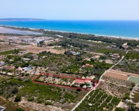 Revente - Finca - La Marina - Costa Blanca