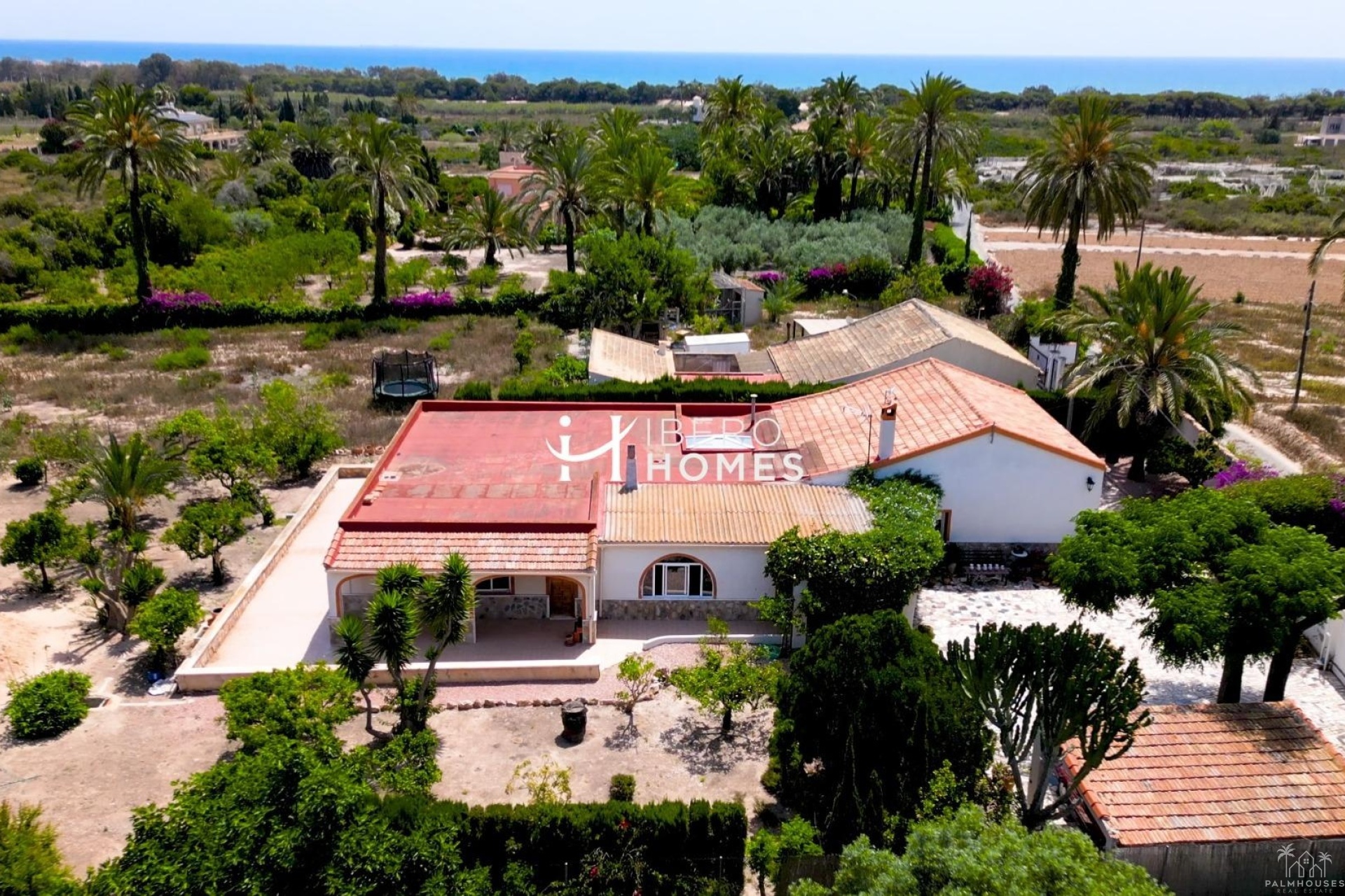 Revente - Finca - La Marina - Costa Blanca