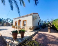 Revente - Finca - La Marina - Costa Blanca