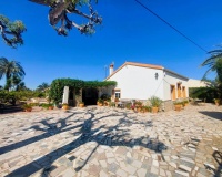 Revente - Finca - La Marina - Costa Blanca