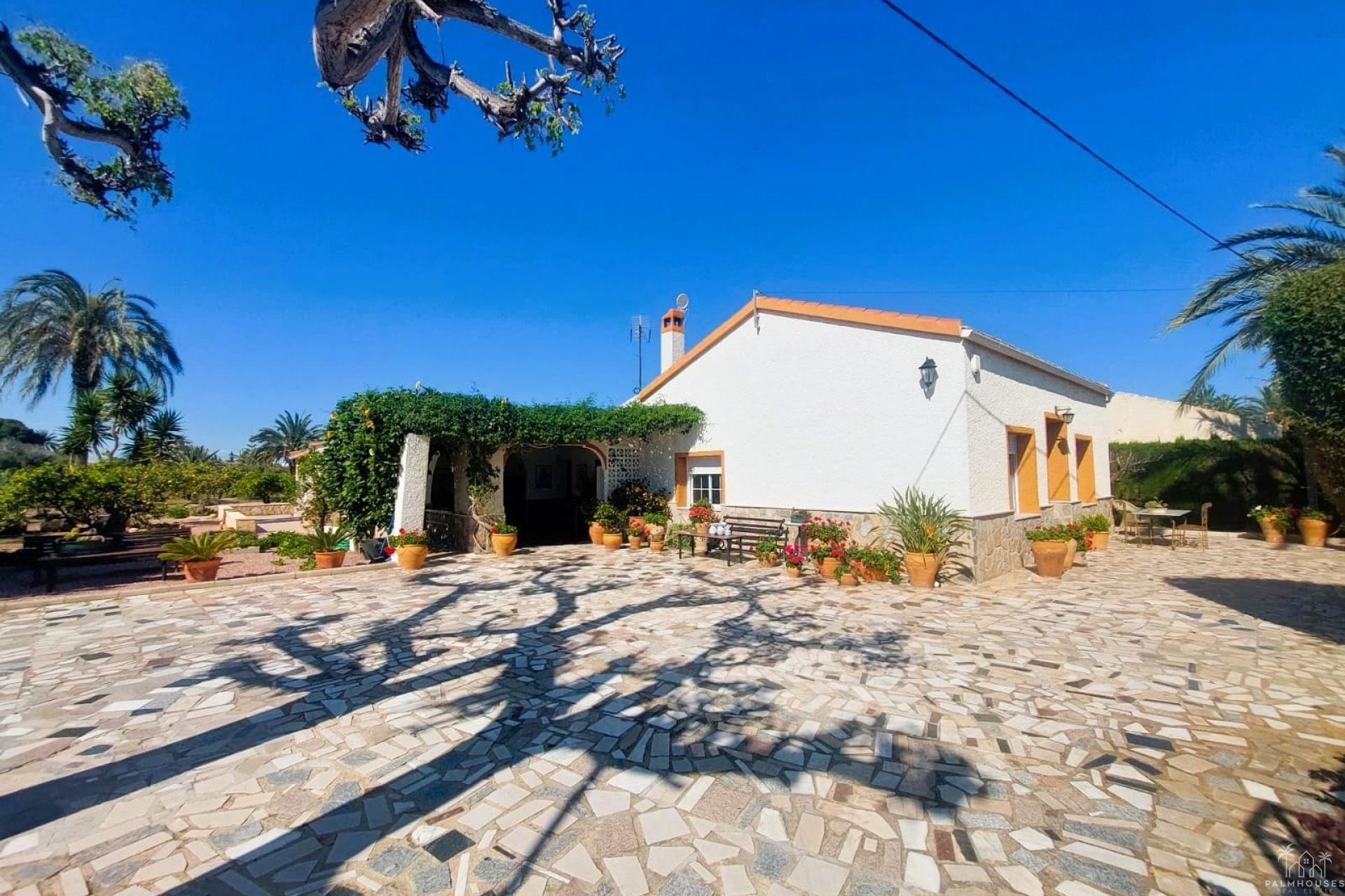 Revente - Finca - La Marina - Costa Blanca