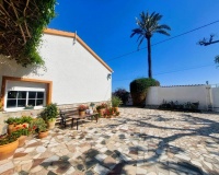 Revente - Finca - La Marina - Costa Blanca