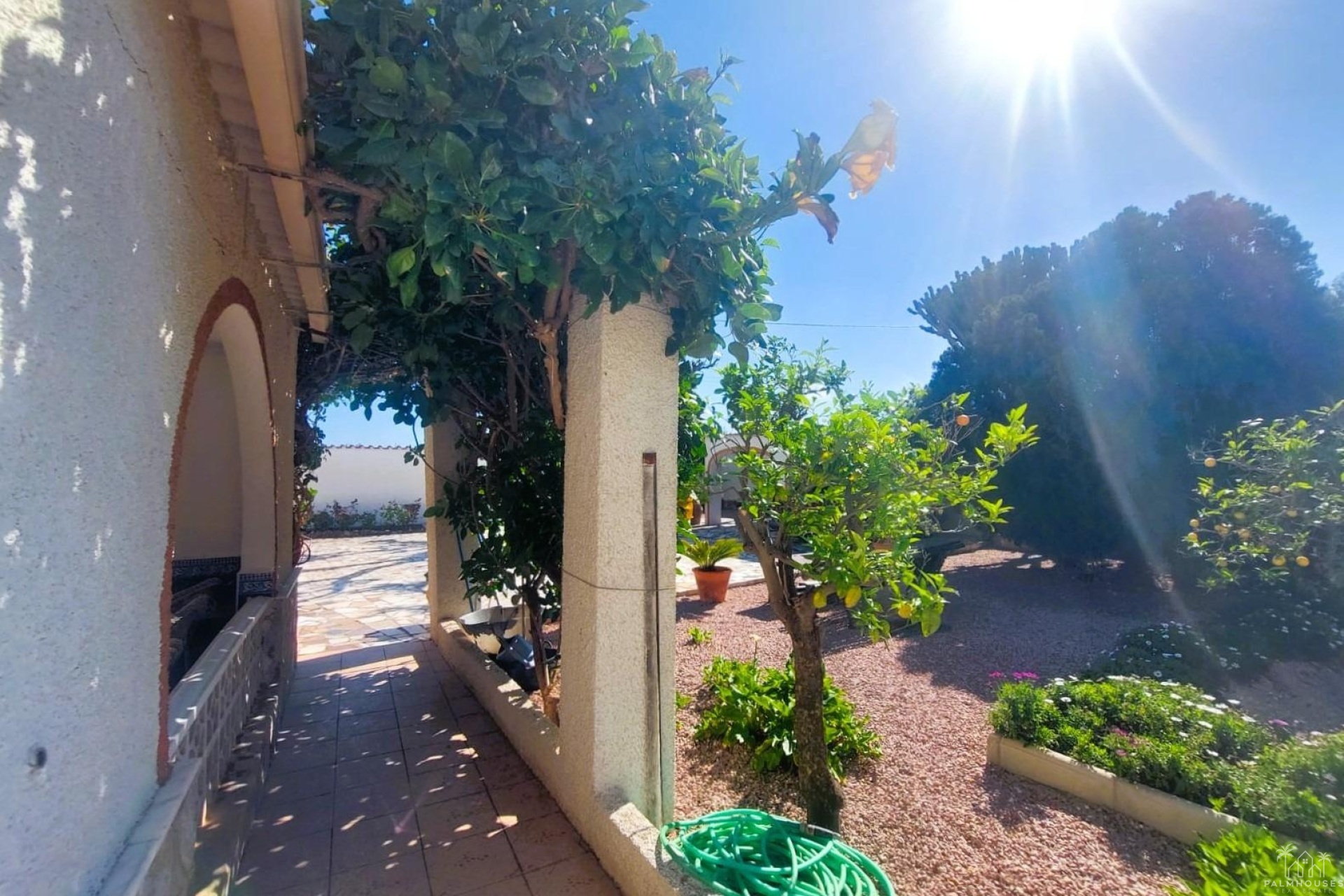 Revente - Finca - La Marina - Costa Blanca