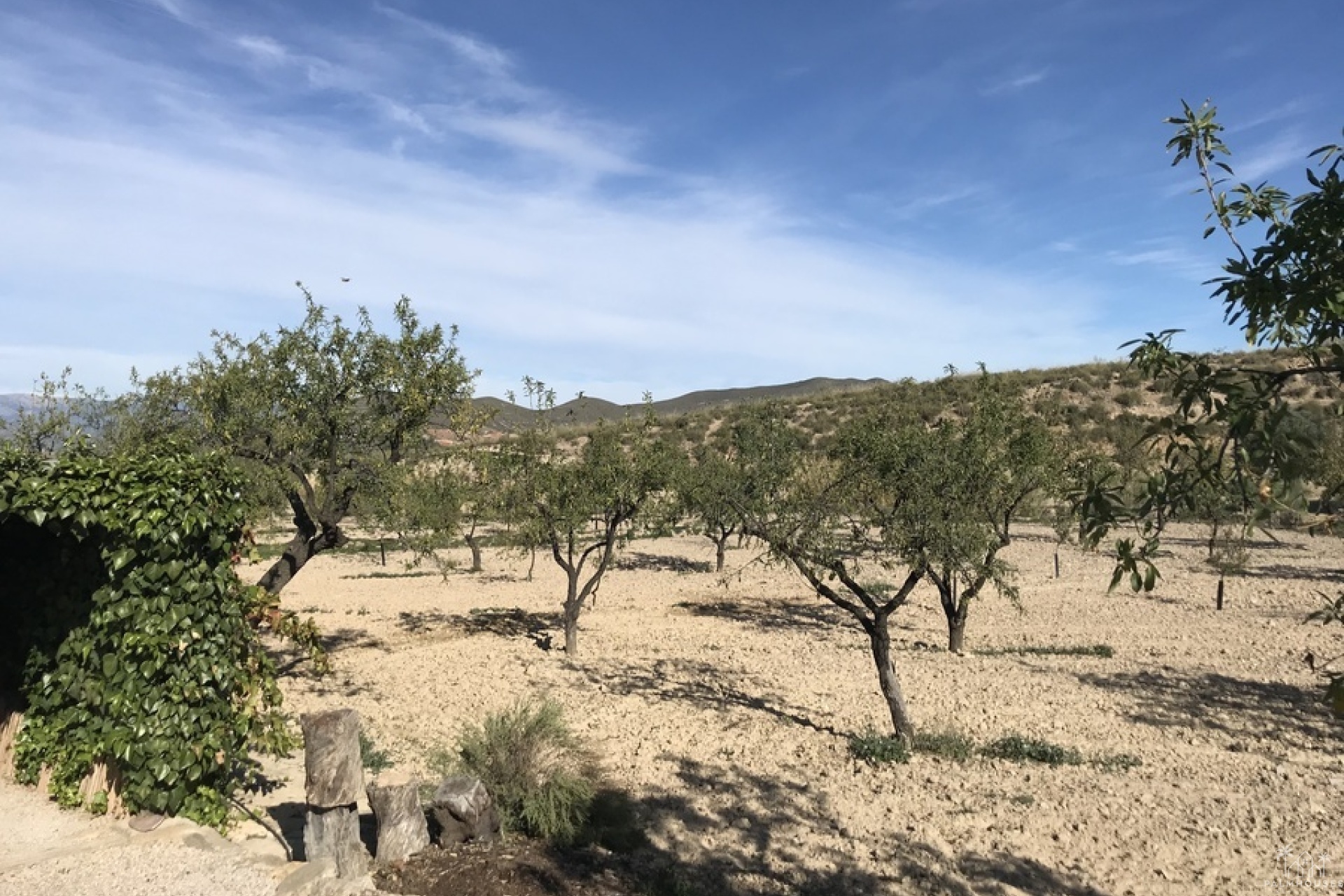 Revente - Finca - Lorca - Costa Calida