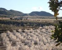 Revente - Finca - Lorca - Costa Calida