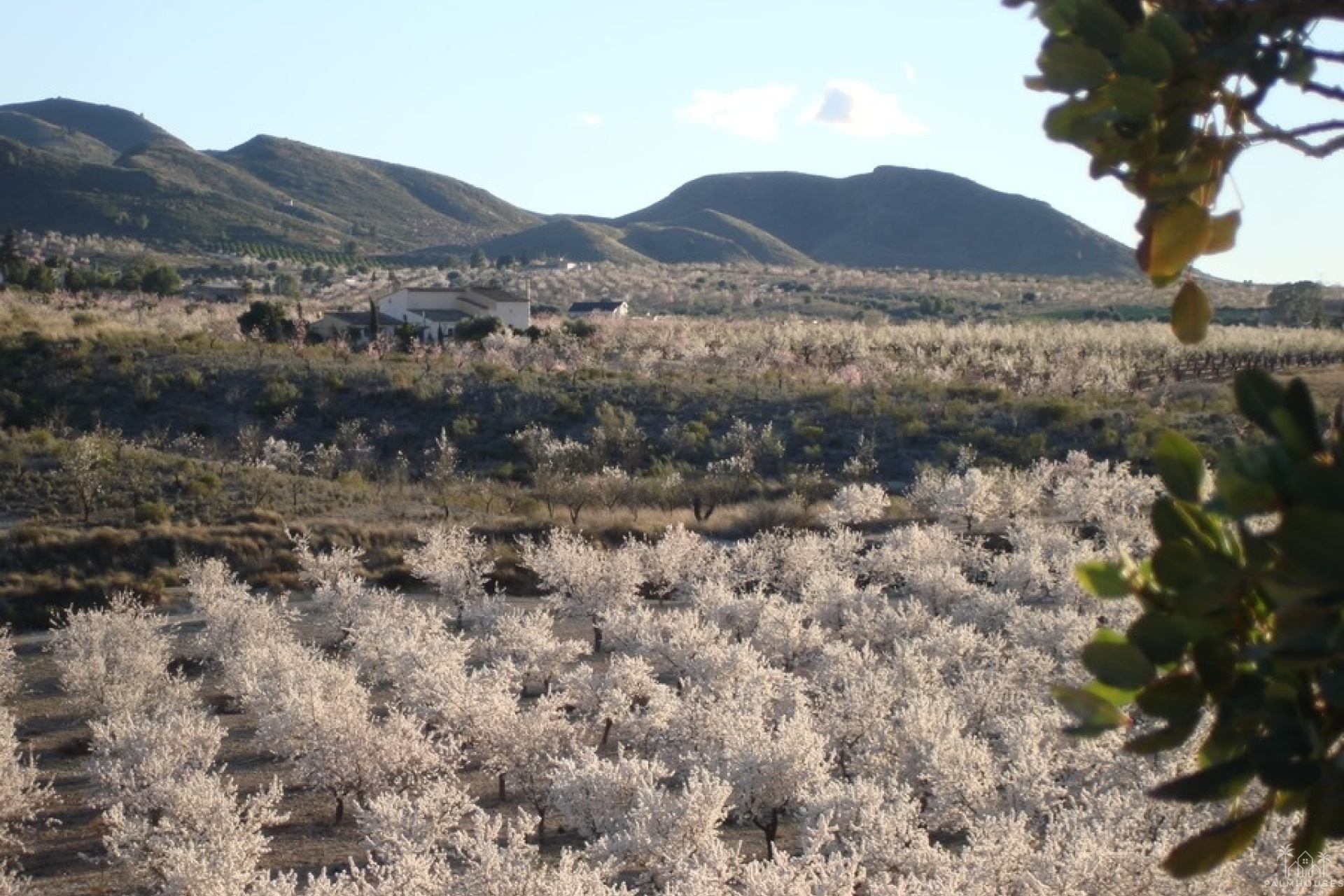 Revente - Finca - Lorca - Costa Calida